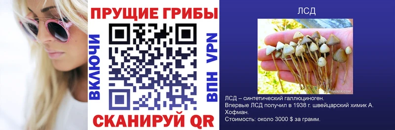Псилоцибиновые грибы мухоморы Купить закладки Воронеж