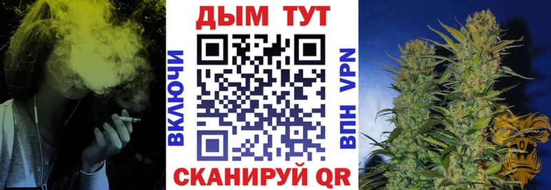 Купить закладки  Воронеж  Конопля SATIVA & INDICA 